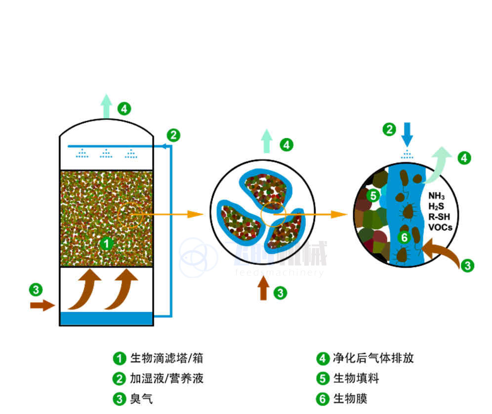 鱼粉厂生物除臭技术-生物过滤