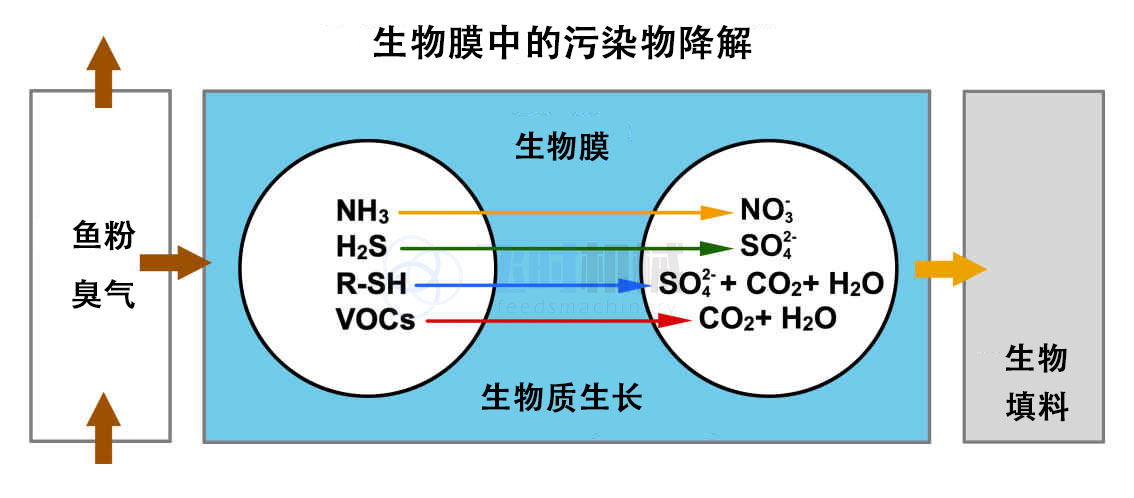 鱼粉厂生物除臭技术原理